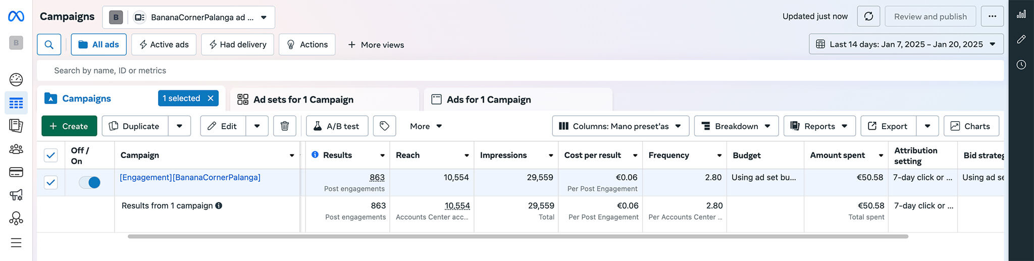 aurimus facebook ad performance